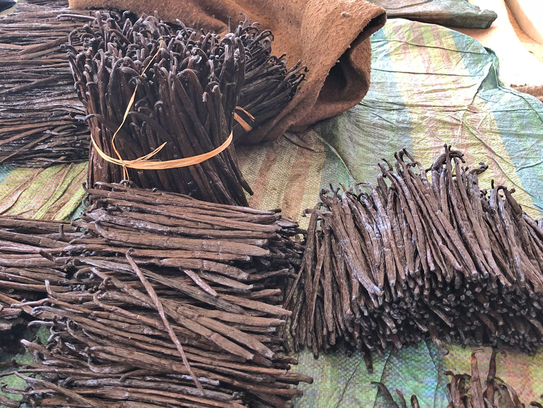 Comoros Vanilla Bean