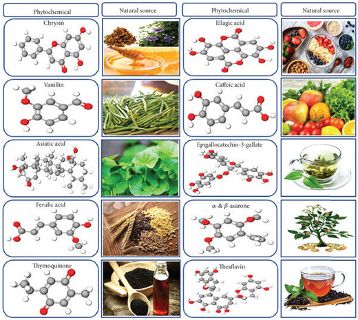 Phytochemicals: Nature’s Secret to a Healthier You (and How Microgreens Are Packed with Them!