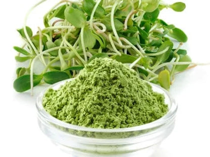 HiYou Micro Greens Powder | Nutrient-Dense Superfood – WaheedLLC